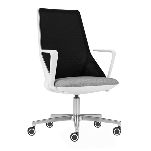 81.244 | OFFICE